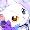 user9611422620619