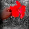 md.rabby.raj64