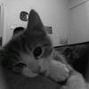 napt_09