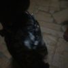 user243272669816