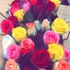 user4777021577626