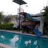 jefe844n.adicto.a