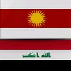 ayas4918