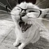milixxxxxxxlol