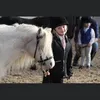 ponypaige7