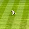 itacoboutbaseball