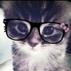 rojy__kr