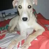 kazza.billy