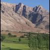 zaker.soleymani