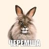 яша лалалава