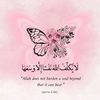 nour._8alem
