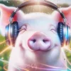 pigginmusic5