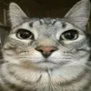 ميمزاوي (اسود☝🏿)