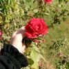 nour_nour025