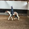 ridingwith_loisx