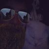 user.0_0.2011