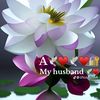 amina_ali_ib