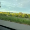 7rene.hmb