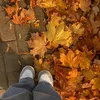 elo_t3090