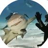 .sharkvilla_1