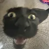 leoniepeters92