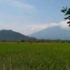 user040488093