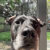 nala.pitre