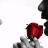 eloseguen.raphael