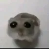 user6669187194115