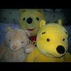wilson.wong923
