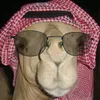shirajsalihhhhhh