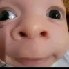 rafael.henrique8844