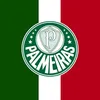 miguel.palmeirense41