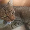 affiliate_minmin