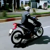 luy_206