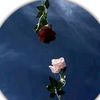 son_setir_08_20