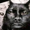 kendrick.chan