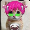 user130149920