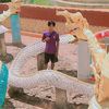 kyaw.gyi02241