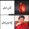 pti.legend.804