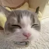 user.phuongg2