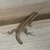 sir_rizzard_the_lizard