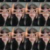 diilaastecuuabiz