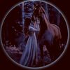 regal_rose_1