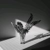 mixedemotion02