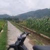 supraremukancoklat