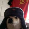 thesovietuniondoggy