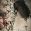 cnlon_12