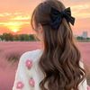 auliasukapipin_1307_