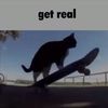 real_mindset26
